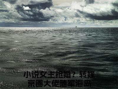 简悦姜泽远：全文+后续+结局（女主抢婚？转嫁京圈大佬随军海岛）最新章节列表_简悦姜泽远（女主抢婚？转嫁京圈大佬随军海岛）全文+后续+结局在线阅读