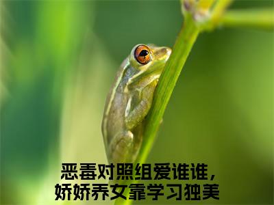 恶毒对照组爱谁谁，娇娇养女靠学习独美姜昭小说（恶毒对照组爱谁谁，娇娇养女靠学习独美姜昭）全文免费阅读无弹窗大结局_恶毒对照组爱谁谁，娇娇养女靠学习独美姜昭全文免费完结版阅读（恶毒对照组爱谁谁，娇娇养女靠学习独美姜昭）