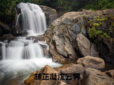 林芷凝沈云霁（林芷凝沈云霁）全文阅读完整版_林芷凝沈云霁小说免费阅读大结局（林芷凝沈云霁）