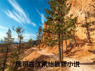 (番外)+(全文)漫天星辰不及你：全文+后续（唐司言沈素怡）全文免费阅读无弹窗大结局_（唐司言沈素怡全文+后续免费阅读全文大结局）最新章节列表