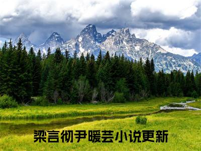 完结文梁言彻尹暖芸在线最新章节列表_完结文梁言彻尹暖芸在线全文免费阅读（梁言彻尹暖芸）