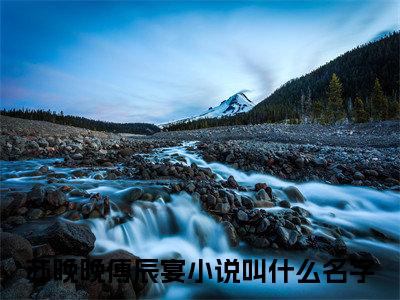 繁花织梦，爱之绮章 小说小说全集+延伸+完本（苏晚晚傅辰宴）畅享在线阅读