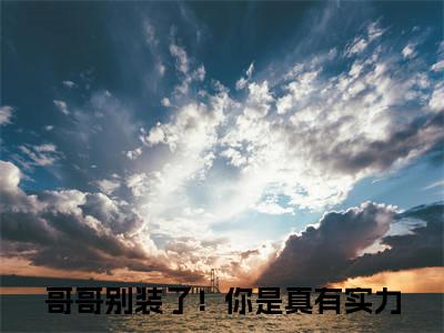 哥哥别装了！你是真有实力（魏坪政魏瑕全文在线阅读）-哥哥别装了！你是真有实力（魏坪政魏瑕）免费阅读无删减完整版