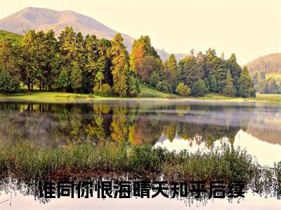 鹿乔微谢知凛：结局+番外（谁同你恨海晴天：结局+番外）全文免费阅读无弹窗大结局_鹿乔微谢知凛：结局+番外（谁同你恨海晴天）最新章节列表_笔趣阁（鹿乔微谢知凛）