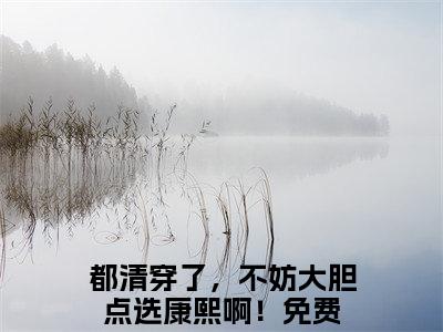 都清穿了，不妨大胆点选康熙啊！小说(石南溪康熙)全本完整阅读最新章节（都清穿了，不妨大胆点选康熙啊！）_笔趣阁