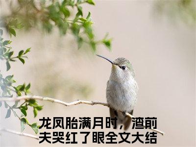 乔一沈言辞（龙凤胎满月时，渣前夫哭红了眼：结局+番外）免费热荐最新全章节阅读_乔一沈言辞小说大结局免费阅读（龙凤胎满月时，渣前夫哭红了眼：结局+番外）