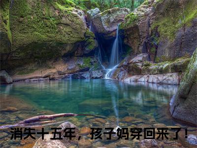 【新书】《消失十五年，孩子妈穿回来了！》全文免费阅读无弹窗大结局-林禾蒋峤全文全章节免费阅读