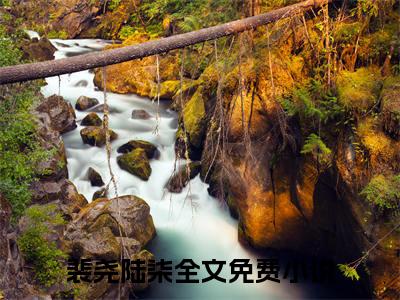 裴尧陆柒（蓄意引诱，裴太太今夜也想离婚）全文免费阅读无弹窗大结局_蓄意引诱，裴太太今夜也想离婚最新章节列表