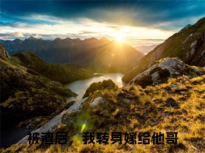 被渣后，我转身嫁给他哥（桑喜娄宴臣全章节完整版）免费阅读_（桑喜娄宴臣）被渣后，我转身嫁给他哥全文无删减免费阅读
