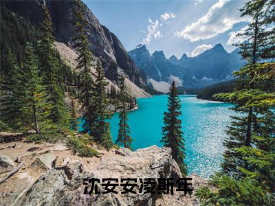 沈安安凌斯年：结局+番外（沈安安凌斯年：结局+番外）完结阅读无弹窗大结局_(沈安安凌斯年)最新章节列表_笔趣阁（沈安安凌斯年：结局+番外）