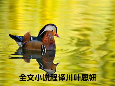 (番外)+(全文)他携星辰向云端：全文+结局+番外（程译川叶恩妍）全文免费阅读无弹窗大结局_他携星辰向云端：全文+结局+番外最新章节列表_笔趣阁（他携星辰向云端：全文+结局+番外）
