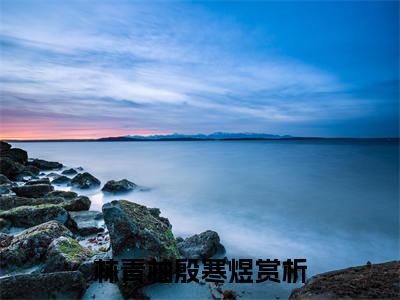 (番外)+(全文)林青柚殷寒煜（林青柚殷寒煜：结局+番外）全文免费阅读无弹窗大结局_(林青柚殷寒煜)最新章节列表_笔趣阁（林青柚殷寒煜：结局+番外）