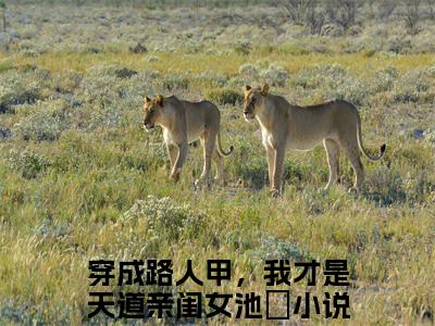 穿成路人甲，我才是天道亲闺女池玥：结局+番外（穿成路人甲，我才是天道亲闺女池玥：结局+番外）全文免费阅读无弹窗大结局_穿成路人甲，我才是天道亲闺女池玥：结局+番外（穿成路人甲，我才是天道亲闺女池玥）最新章节列表_笔趣阁（穿成路人甲，我才是天道亲闺女池玥）