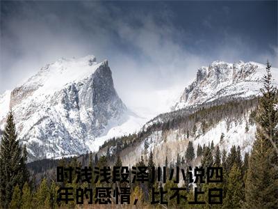 四年的感情，比不上白月光（时浅浅段泽川）全文免费阅读无弹窗大结局_（四年的感情，比不上白月光）时浅浅段泽川最新章节列表