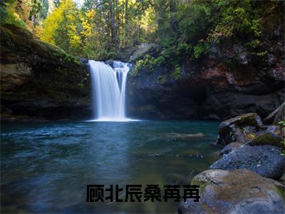 顾北辰桑苒苒小说完结篇(顾北辰桑苒苒)章节前文+全篇阅读（顾北辰桑苒苒）最近更新