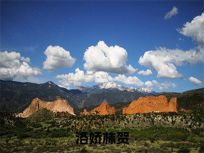 他对自己不该是这个态度啊（洛娇林贺）全文免费阅读无弹窗大结局_（洛娇林贺在线阅读）最新章节列表笔趣阁（洛娇林贺）