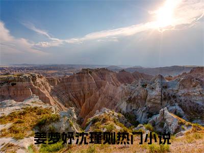 (番外)+(全文)姜梦妤沈瑾则全文+后续+结局（姜梦妤沈瑾则）全文免费阅读无弹窗大结局_姜梦妤沈瑾则全文+后续+结局最新章节列表_笔趣阁（姜梦妤沈瑾则）
