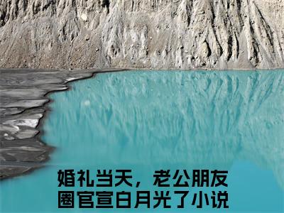 (番外)+(全文)乔夏夏傅司竞：结局+番外（婚礼当天，老公朋友圈官宣白月光了）完整全文在线阅读_乔夏夏傅司竞：结局+番外免费阅读最新章节列表_笔趣阁（婚礼当天，老公朋友圈官宣白月光了）