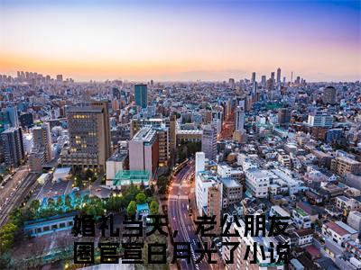 婚礼当天，老公朋友圈官宣白月光了乔夏夏傅司竞小说章节目录+章节前文（乔夏夏傅司竞）TXT清爽版在线