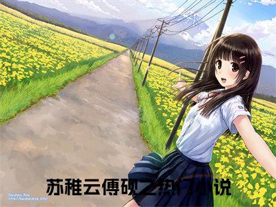 苏稚云傅砚之：全文+后续（苏稚云傅砚之：全文+后续）全文免费阅读无弹窗大结局_苏稚云傅砚之：全文+后续（苏稚云傅砚之）最新章节列表_笔趣阁（苏稚云傅砚之）