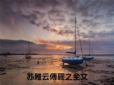 苏稚云傅砚之（苏稚云傅砚之：结局+番外）全文免费阅读无弹窗大结局_(苏稚云傅砚之)最新章节列表_笔趣阁（苏稚云傅砚之：结局+番外）