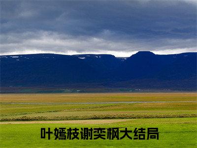 (番外)+(全文)叶嫣枝谢奕枫：结局+番外+后续（叶嫣枝谢奕枫）全文免费阅读无弹窗大结局_（叶嫣枝谢奕枫：结局+番外+后续免费阅读全文大结局）最新章节列表_笔趣阁（叶嫣枝谢奕枫：结局+番外+后续）