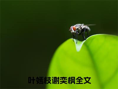 叶嫣枝谢奕枫（叶嫣枝谢奕枫：结局+番外）全文最新免费阅读无弹窗_叶嫣枝谢奕枫精选章节小说阅读_笔趣阁（叶嫣枝谢奕枫：结局+番外）