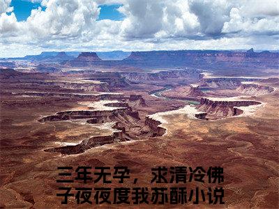 三年无孕，求清冷佛子夜夜度我苏酥免费三年无孕，求清冷佛子夜夜度我苏酥读无弹窗最新章节列表_笔趣阁（三年无孕，求清冷佛子夜夜度我苏酥）