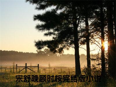 宋舒晚顾时桉（宋舒晚顾时桉）全文免费阅读无弹窗大结局_宋舒晚顾时桉最新章节列表_笔趣阁（宋舒晚顾时桉）