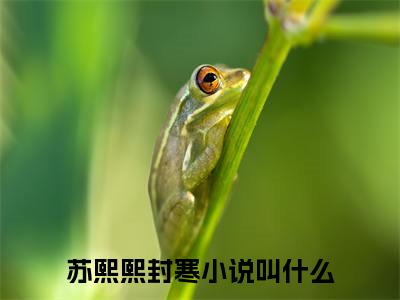 苏熙熙封寒(苏熙熙封寒)小说全文免费阅读无弹窗大结局_（苏熙熙封寒）苏熙熙封寒最新章节列表笔趣阁（苏熙熙封寒）