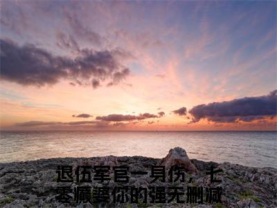 沈毅凌安（退伍军官一身伤，七零癫婆你的强）小说全文免费阅读-沈毅凌安（退伍军官一身伤，七零癫婆你的强）免费在线阅读完整版