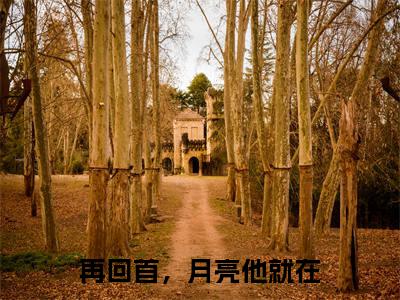 安逸朗月行再回首，月亮他就在续集(安逸朗月行)章节前文+全书阅读（再回首，月亮他就在）最新连载