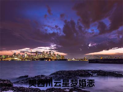 愿陪你星光坠落（樊西川云星梦）小说免费下载全本-愿陪你星光坠落（樊西川云星梦完整版）免费阅读大结局