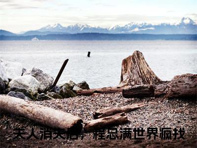夫人消失后，程总满世界疯找（程之衍沈星晚）全文免费阅读无弹窗_夫人消失后，程总满世界疯找最新小说_笔趣阁（程之衍沈星晚）