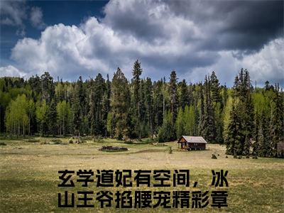 陈花颜谢玉珩小说(玄学道妃有空间，冰山王爷掐腰宠)（陈花颜谢玉珩）整本+后续+结局在线阅读