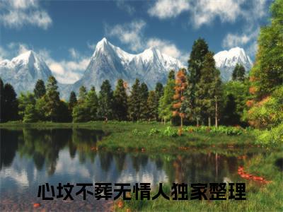 （心坟不葬无情人）程叙晚沈宴礼小说最终篇章章节在线无广告高口碑小说