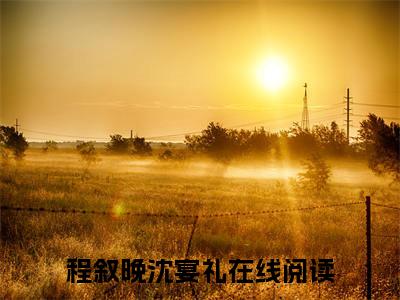 程叙晚沈宴礼心坟不葬无情人小说章节目录+章节前文（心坟不葬无情人）TXT清爽版在线