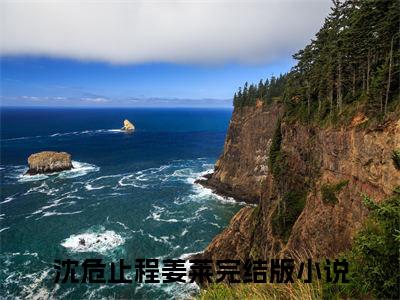 沈危止程姜莱为你不道云海深小说(沈危止程姜莱)（为你不道云海深）在线畅读+开篇大作+前传