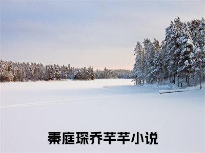 秦庭琛乔芊芊结局+番外（秦庭琛乔芊芊）全文免费阅读无弹窗大结局_秦庭琛乔芊芊结局+番外完整版最新全章节