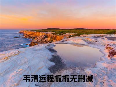 韦清远程栀栀（韦清远程栀栀）免费阅读无弹窗大结局-韦清远程栀栀（韦清远程栀栀）全文无错版阅读无弹窗