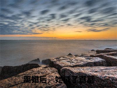 周楠冯北小说(离婚后，她成了首富)（周楠冯北）在线畅读阅读连载中