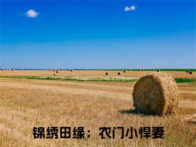 锦绣田缘：农门小悍妻宋挽电子书+番外篇章+（宋挽）免费版在线阅读