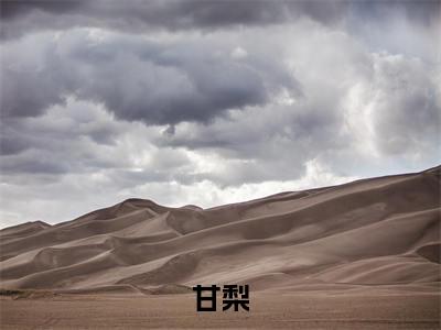 (番外)+(全文)甘梨：结局+番外（被休后，极品小姑带着娘家暴富了）全文免费阅读无弹窗大结局_（甘梨：结局+番外免费阅读全文大结局）最新章节列表_笔趣阁（甘梨：结局+番外）