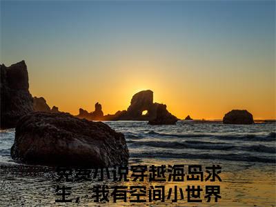 穿越海岛求生，我有空间小世界！（上官婉儿君弑臣前文+后续）全文免费阅读无弹窗大结局_(穿越海岛求生，我有空间小世界！上官婉儿君弑臣前文+后续)最新章节列表_笔趣阁（上官婉儿君弑臣前文+后续）
