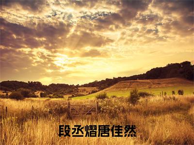 婚情告急：段少的替罪娇妻（段丞熠唐佳然：结局+番外+完结）完结阅读无弹窗大结局_(婚情告急：段少的替罪娇妻)最新章节列表_笔趣阁（段丞熠唐佳然：结局+番外+完结）