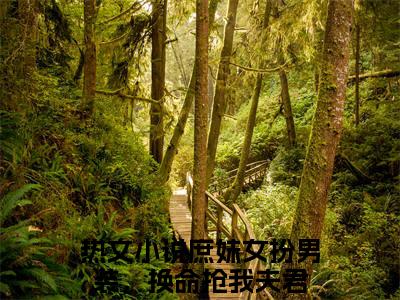 (番外)+(全文)庶妹女扮男装，换命抢我夫君谢沅：全文+后续+结局（谢沅）全文免费阅读无弹窗大结局_庶妹女扮男装，换命抢我夫君：全文+后续+结局最新章节列表_笔趣阁（庶妹女扮男装，换命抢我夫君谢沅：全文+后续+结局）