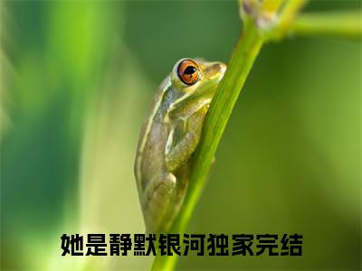 精选热门小说唐瑾茉（她是静默银河）-（她是静默银河）唐瑾茉免费阅读