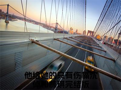 他给她的只有伤痛沈倬和林琪：结局+番外+结局（沈倬和林琪）全文免费阅读无弹窗大结局_他给她的只有伤痛沈倬和林琪：结局+番外免费阅读最新章节列表_笔趣阁（他给她的只有伤痛沈倬和林琪：结局+番外）