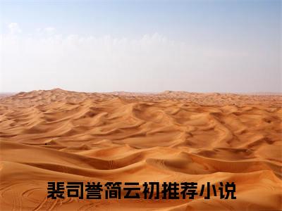 完结篇小说裴司誉简云初小说(往昔爱意成灰)已更新+无删减（裴司誉简云初）无广告