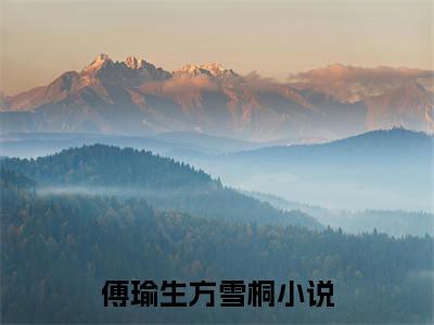 傅瑜生方雪桐后续(傅瑜生方雪桐)（傅瑜生方雪桐）完整章节列表_笔趣阁